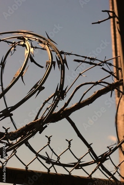 Obraz barbed wire against the sky