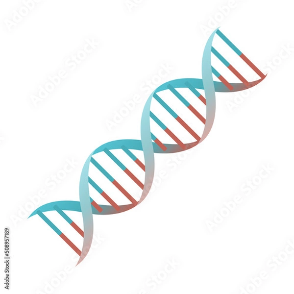 Fototapeta Cartoon DNA spiral genes vector isolated object illustration