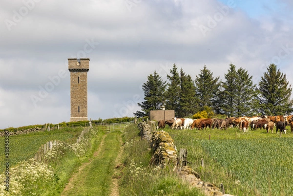 Obraz Prop of Ythsie, folly tower, Scottish Highlands