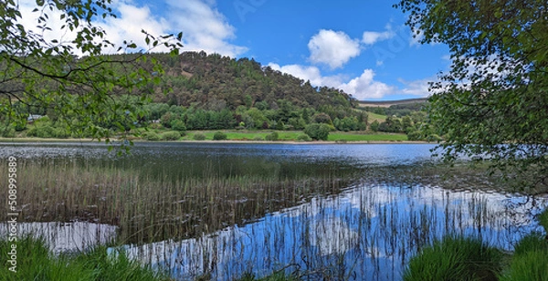 Fototapeta View across the water along Lower Lake in the Glendalough Valley in the Wicklow Mountains National Park in Ireland with a cloudy blue sky, green forest and sky reflecting water