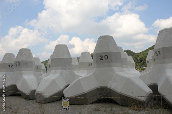 Fototapeta 「消波ブロック」が整然と並んでいる風景