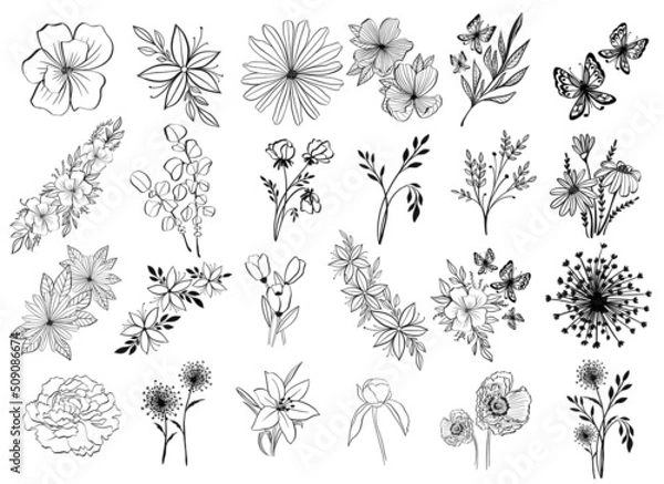 Fototapeta Line art flowers on white background. Set of botanical icons. Isolated illustration