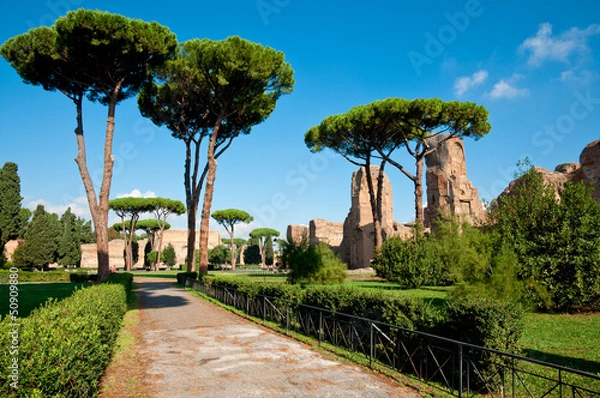 Fototapeta Path and trees from Caracalla springs at Rome