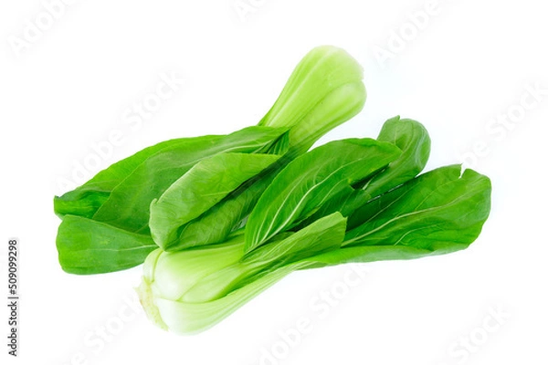 Obraz Chinese cabbage on a white background
