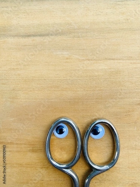 Fototapeta the handle of metal scissors with eyes looks around