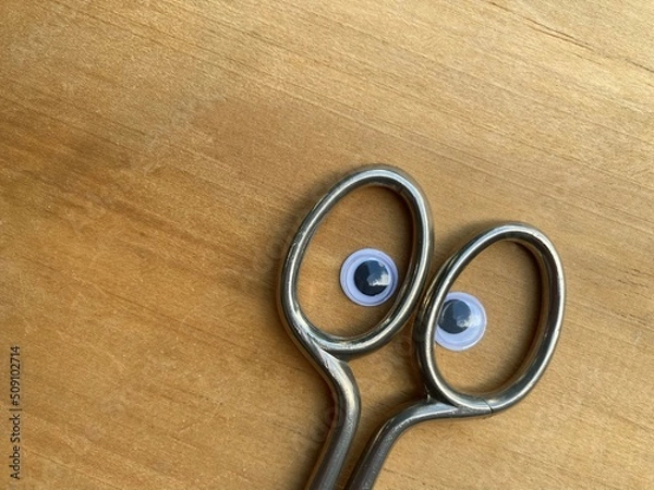Fototapeta the handle of metal scissors with eyes looks around