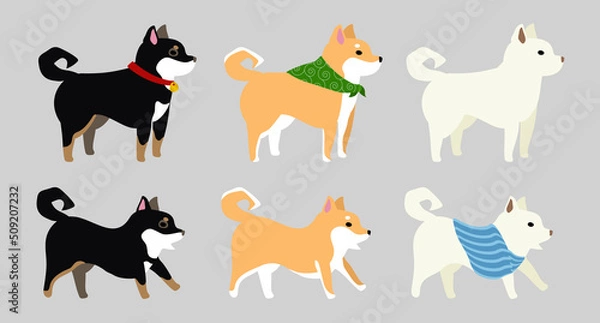 Obraz 柴犬セット