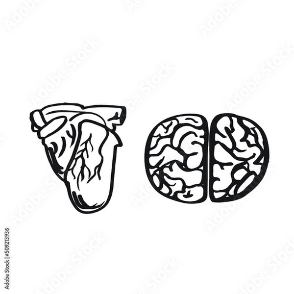 Obraz Heart and Brain Simple Line Drawings