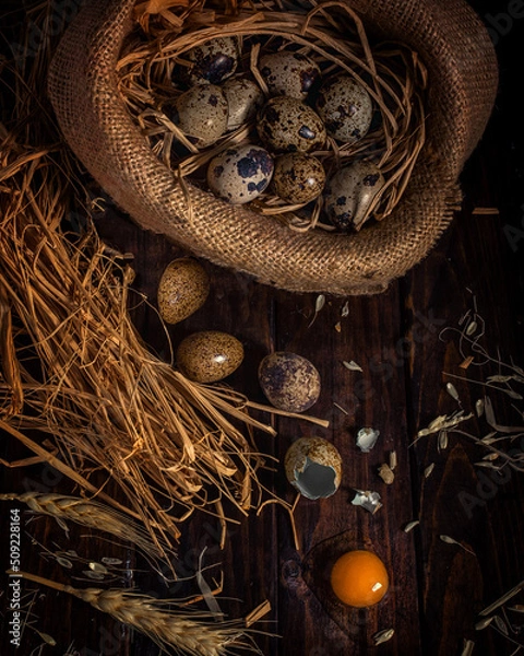 Obraz Fresh quail eggs on a brown wooden table. Raw quail eggs close-up.