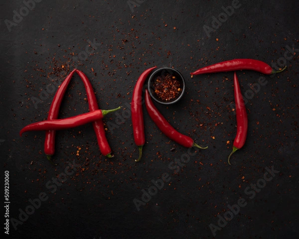 Obraz Word "ART" is lined with red chilli pepper. Red peppers creating a word art on black background.Top view. Free copy space.