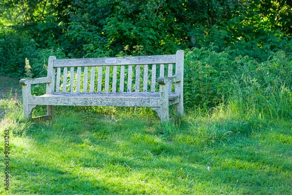 Fototapeta Lonely wooden bench in bright green grass. Bench in the garden. A bench in the forest. Bench in the field.