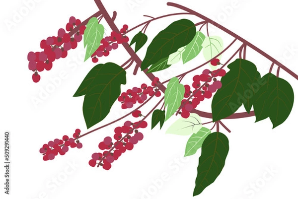 Fototapeta "Vector, graphic, illustration of vintage floral pattern. Line art of a bunch of red fruits and leaves.