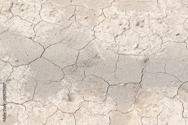 Fototapeta 土の乾燥　ひび割れ