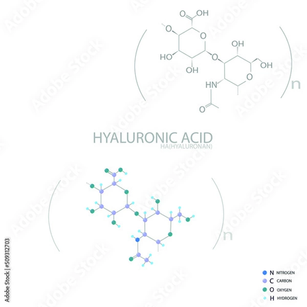 Fototapeta Hyaluronic acid molecular skeletal 3D chemical formula.	