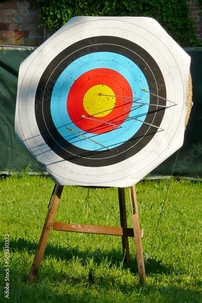 Obraz Circle Target  in archery world