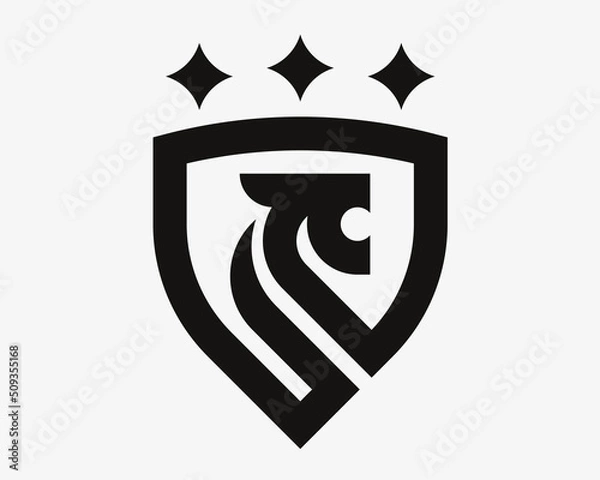 Fototapeta Lion modern logo. King heraldic emblem design editable for your business. Vector illustration.