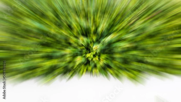 Fototapeta The abstract background radial blurs a cluster of many brilliant green leaves.