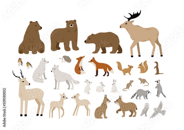 Obraz Big vector set of forest animals: bear, deer, wolf, fox, lynx, squirrel, moose, owl, rabbit, raccoon. Hand drawn woodland animal collection. Cute wild characters. Vector illustration