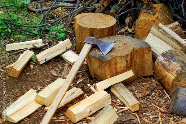 Obraz axe and firewood