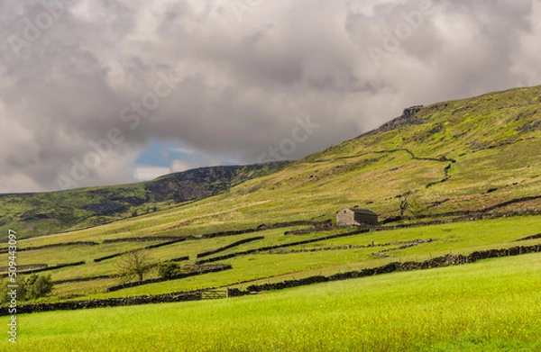 Fototapeta Looking across the field of buttercups at the isolated old barn