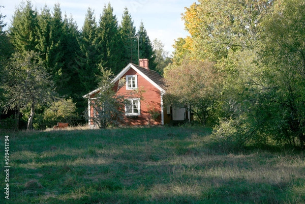 Obraz Old house and tree