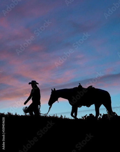 Fototapeta Silhouette of cowgirl walking a horse with chaps on across a ridge during sunset.