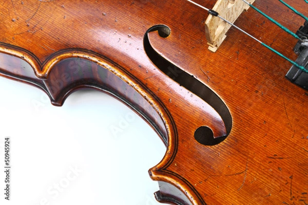 Obraz violin