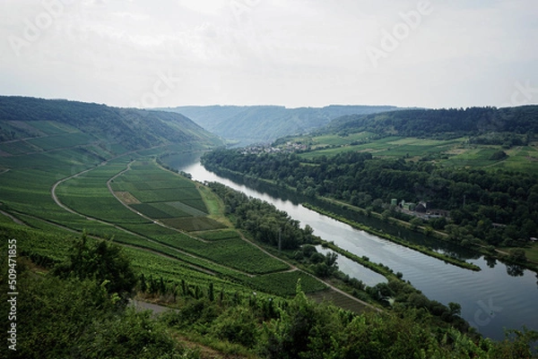Fototapeta view over Mosel river in Germany 