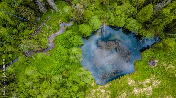 Obraz Aerial view of wild forest lake. drone photo