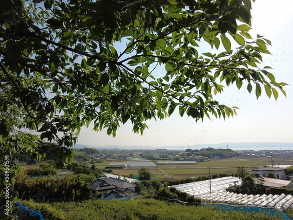 Obraz とある公園からの眺め