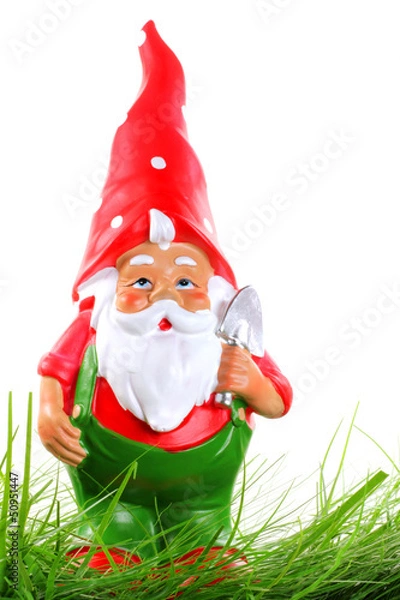 Obraz Gartenzwerg auf Rasen