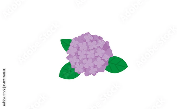 Obraz あじさい紫