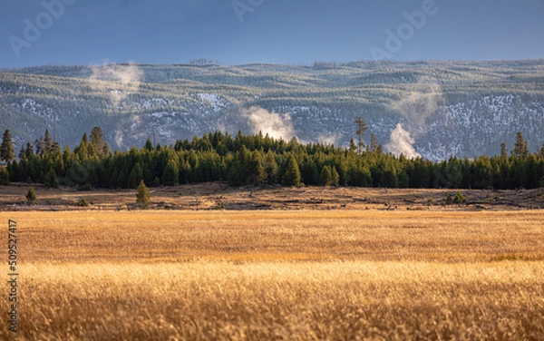 Obraz Orange grass field with background of hot zone in Yellowstone.