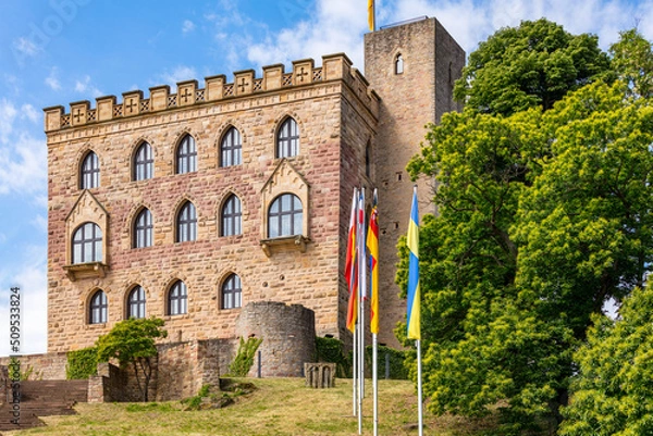 Obraz Hambacher Schloss