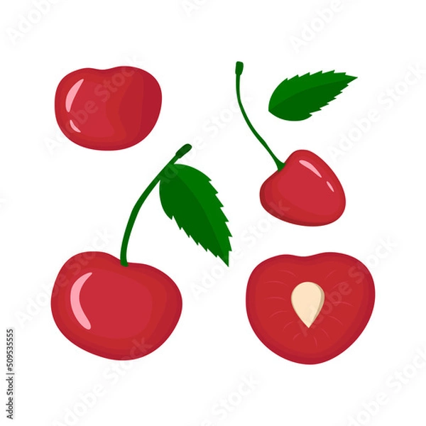 Obraz Red cherry vegan berry vector flat isolated illustration