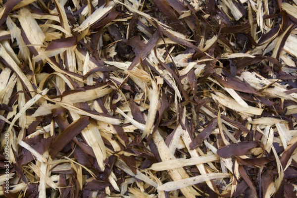 Fototapeta holzschnipsel