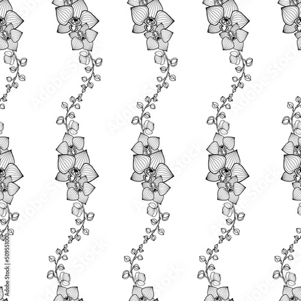Fototapeta Seamless pattern with orchid branches, flowers, buds, vertical linear ornament with black outline.
