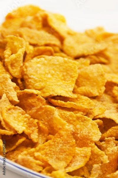 Obraz Cornflakes
