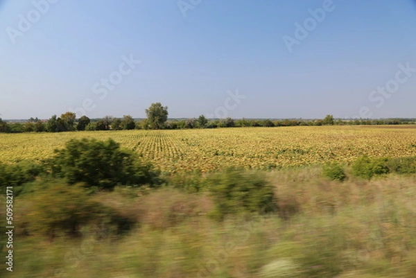 Fototapeta ハンガリー旅行記