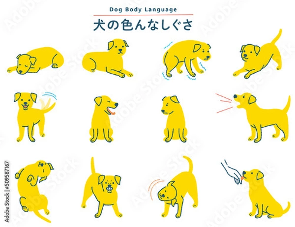 Obraz 犬の色んなしぐさイラストセット