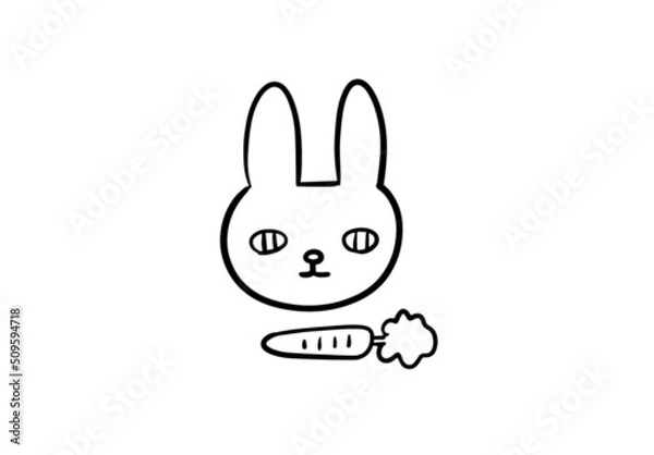 Fototapeta rabbit and carrot