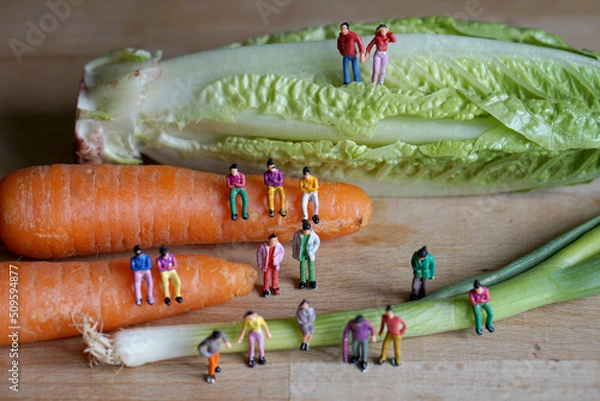 Fototapeta Miniature figurine character: people sitting on carrots, and spring onions, and some standing on lettuce and wooden floor, concept of fresh organic vegetables for good health in the market 