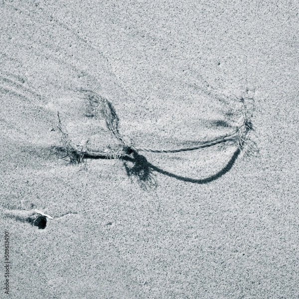 Obraz waste in the sand