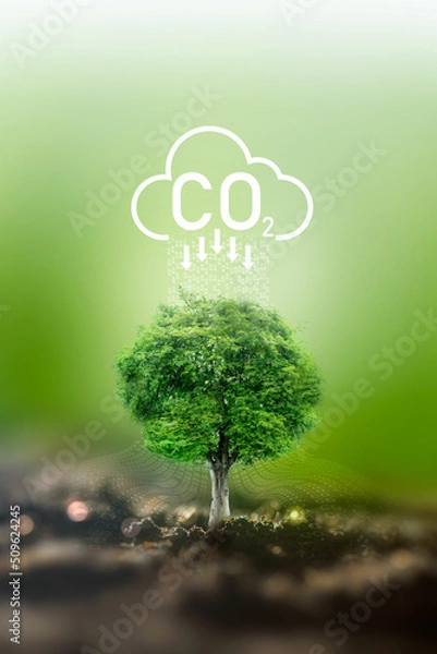 Fototapeta Sustainable business with the planet through renewable energy and green CO2 emissions, whereby using renewable energy can limit climate change and global warming.
