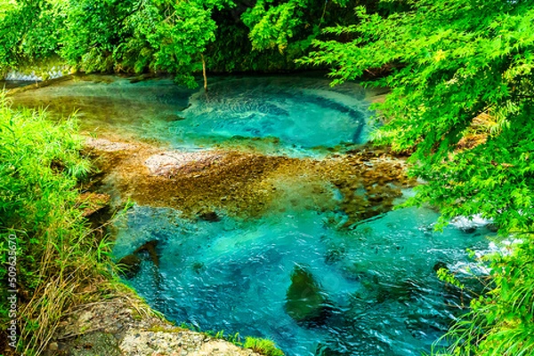 Obraz 池山水源(熊本県阿蘇郡産山村)
