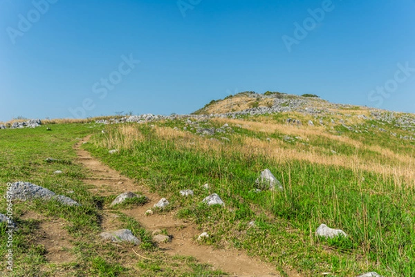 Obraz 晴天の丘の小道