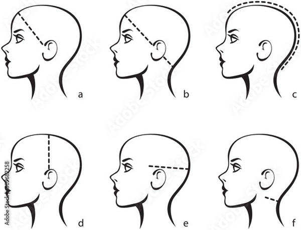 Obraz Stylized image of a female head. Template for selecting the size of a wig or hair system for women. Measuring size chart. Vector illustration isolated on white background.