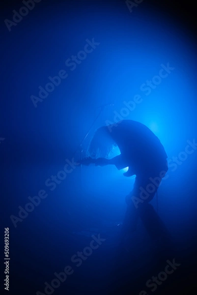 Obraz Guitarist silhouette on a stage in blue backlights 