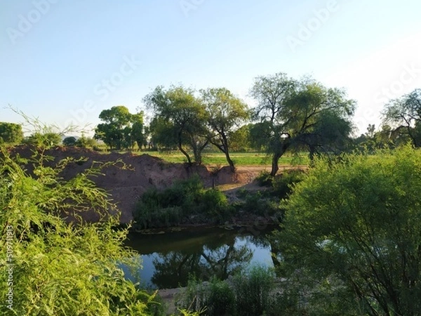 Obraz naturaleza verde