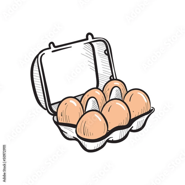 Fototapeta Egg box. Healthy food. Vector drawing. Image on white background